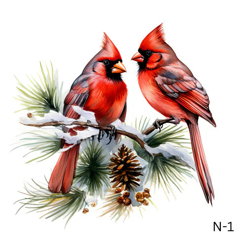 N-Red Cardinals