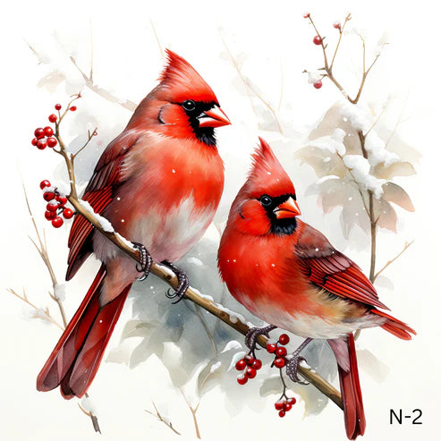 N-Red Cardinals