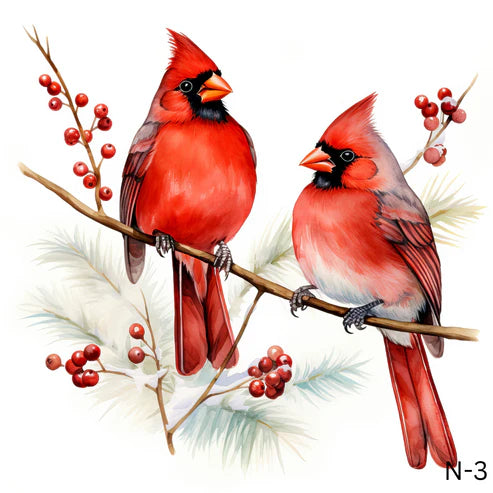 N-Red Cardinals