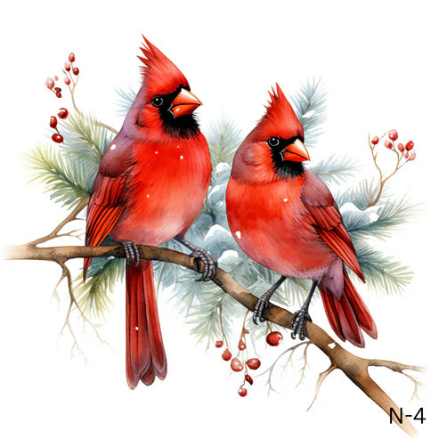 N-Red Cardinals